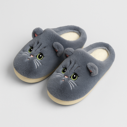 CozyPaws